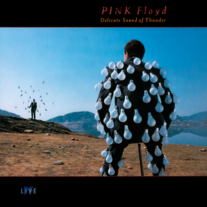 Pink Floyd - Learning To Fly