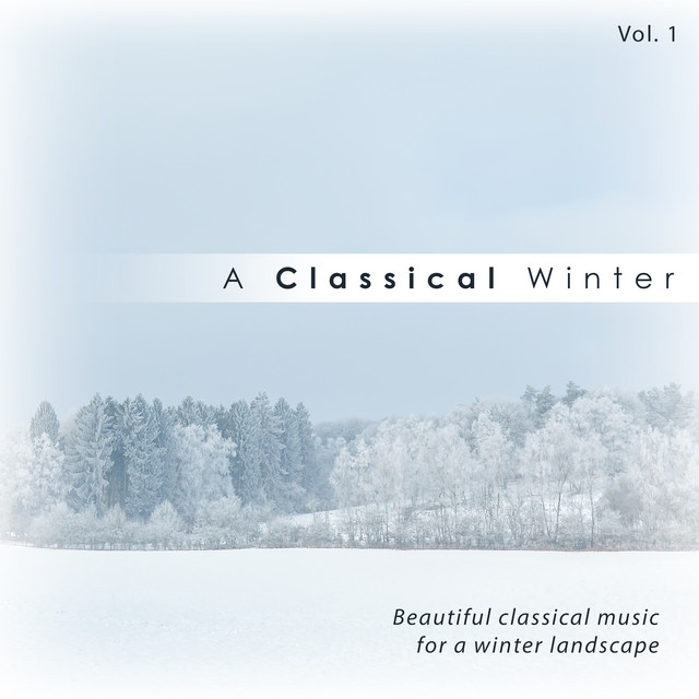 Franz Schubert & Vladimir Fedoseyev & Moscow Radio Sym Orch - Ave Maria