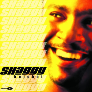Shaggy - It Wasn't Me