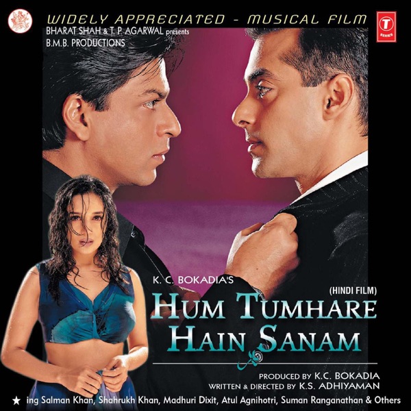 Nikhil Vinay, Anuradha Paudwal/Udit Narayan, Shah Rukh Khan, Madhuri Dixit - Hum Tumhare Hain Sanam