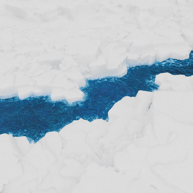 Top Barry, INDEcompany - 一半一半