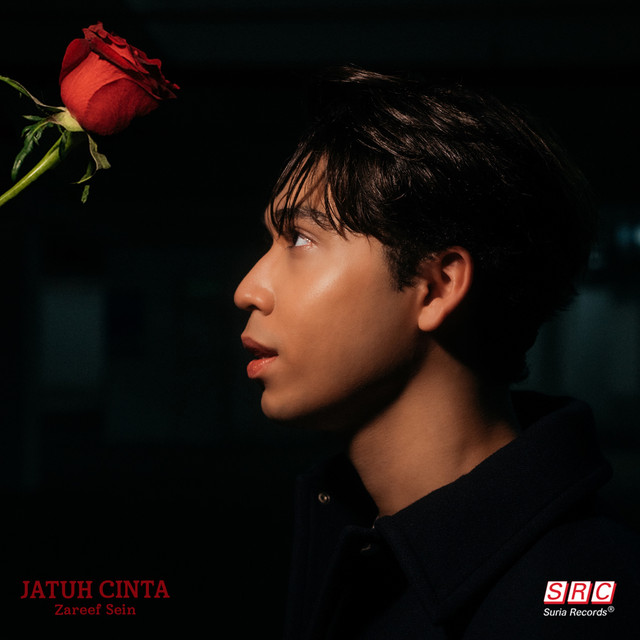 Zareef Sein - Jatuh Cinta