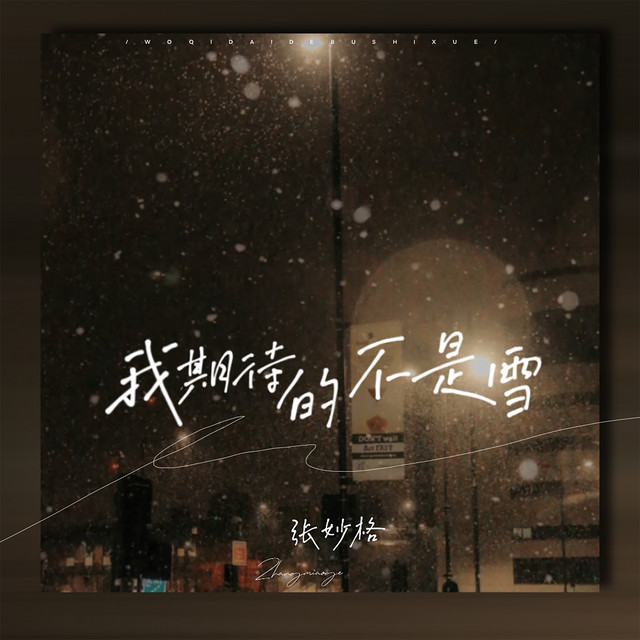 张妙格 - 我期待的不是雪