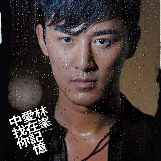Lin Feng - 爱在记忆中找你（电视剧“岁月风云”插曲）