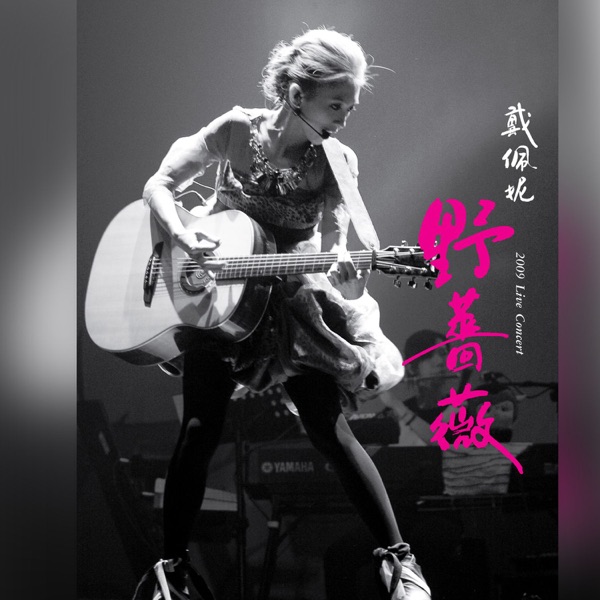 Dai Pei Ni, Penny - 一个人的行李