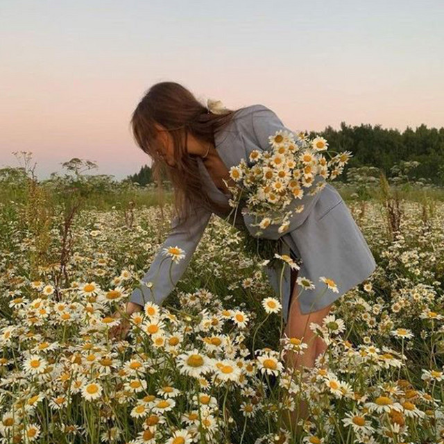 Rozlina - Burung Dalam Sangkar