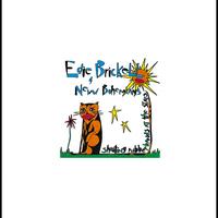 Edie Brickell - What I Am